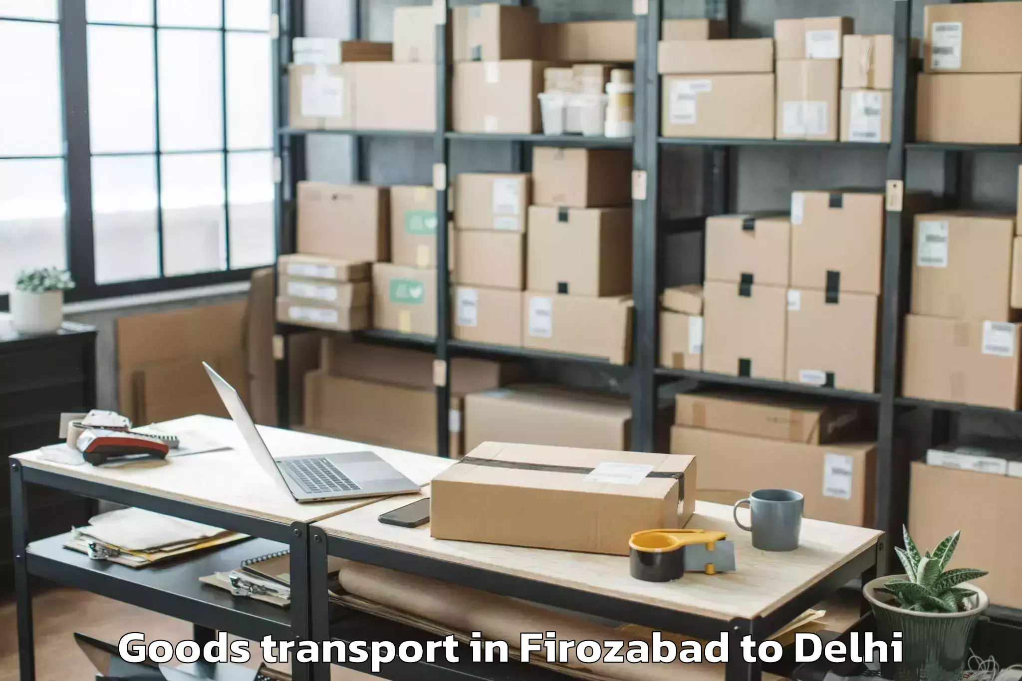 Expert Firozabad to Sarojini Nagar Goods Transport